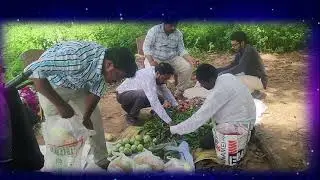 UWT- Reaching Unreached, helping few people with basic needs, in tribal area- kolimamidi