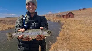 2 Days of Fly Fishing & Camping in Colorado | Catching Wild Trout at Dream Stream