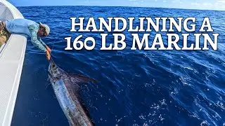 Handlining a 160lb Marlin, Saltwater Fly Fishing and A Reel Job with Guide Ryan Johnston