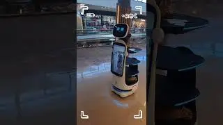 Robotiza tu marketing en Hosteler&iacute;a, de el salto hacia la tecnolog&iacute;a.