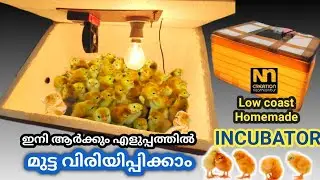 How to make Homemade incubator | കുറഞ്ഞ ചിലവിൽ മുട്ട വിരിയിക്കാം #incubator #DIY