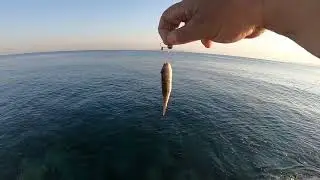ψάρεμα LRF με jighead & σιλικόνες αν κατεβεί χαμηλά θα το πληρώσεις ακριβά το τόλμημα χαρά οι Λαγοί