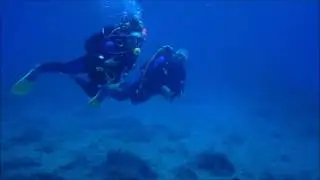 kos diving @liamis ton and marina