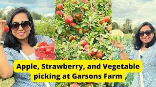 Picking Apples and Strawberries at the largest Pick-Your-Own Farm in the UK | Enjoying Food in Farm