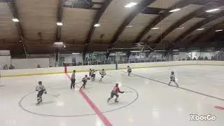 LIAHL - Aviator 12U AA Minor (Redwings) vs Arrows Green (L 4-5)