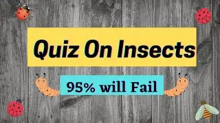 Interesting Quiz on Insects : English quiz for kids