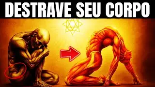 O Ritual Polivagal : 3 Movimentos Para Destravar Seu Corpo E Ativar O Modo Criador.
