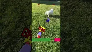 Cannon Challenge