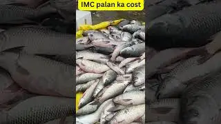 IMC Fish farming Cost 😎🔥😎|| Fish farming busines in India