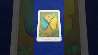 【変容】変化に抵抗しないでください #占い #自己改革 #tarot #自分の使命 #タロット #自分を好きになれる #開運 #本音で生きる #恋愛 #成果を出す