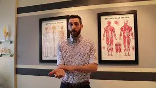 Controlled Articular Rotations for the Wrist
