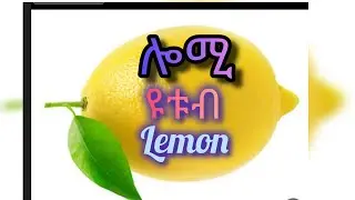 ሎሚ ዩቱብ 🍋🍋 ስለሁሉም ነገር አልሀምዱሊላሂ