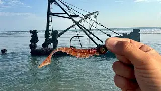 Este SEÑUELO es EL más EFECTIVO para PESCAR de ORILLA // PESCA de PALETAS con CAMARÓN ARTIFICIAL