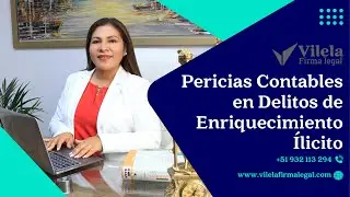 Pericia Contable en Delitos de Enriquecimiento Il&iacute;cito - Norbel Lozano - Enfoque Jurisprudencial #8