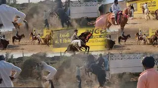 #kathiawadihorse #shortsviral #shortvideos #viral#viralvideos #horseriding #fuleku#trending🏇horse 🏇