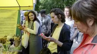 Амарант Украины.  Агро 2017