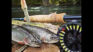 Native Cutthroat Fly Fishing! Oregon Winter STEELHEAD!!