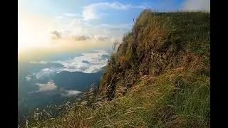 เซอร์ไวเวอร์นิวซีแลนซ์ อุทยานแห่งชาติเขาแหลม