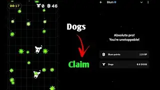 Claim Dogs in Blum | X Tokens Withdrawal kaise kare Live