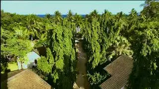 Pinewood Beach Resort - Diani, Kenya