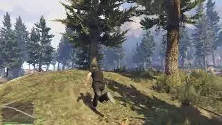 Live gta 5 online