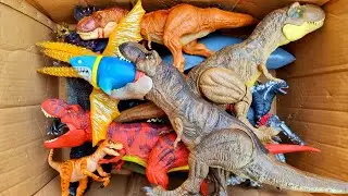 Dinosaur Jurassic World Toy In The Box ASMR Review