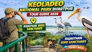 Keoladeo National Park Bharatpur 2026 Tour Guide | Rajasthan Bird Sanctuary