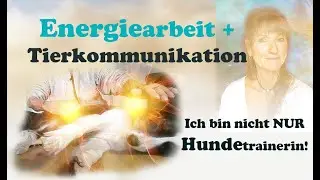 ✨ So kann ich als Hundetrainerin UND Heilerin GANZHEITLICH helfen!