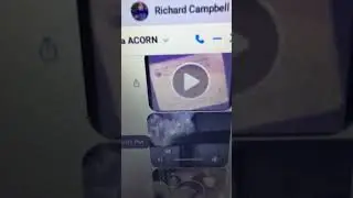 NS Acorn whats 15 bucks a month get yah