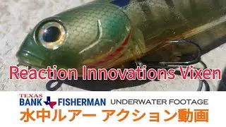 #リアクションイノベーションズ #ヴィクセン#水中ルアー動画 [ UNDERWATER FOOTAGE ] Reaction Innovations Vixen 水中ルアーアクション動画