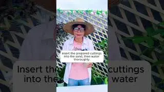 Why use cuttings to propagate plants..