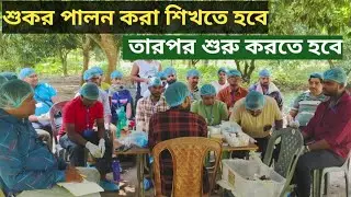 শুকর পালন নিয়ে এই চাষি কি বলছে।How to Start pig farm bussines 