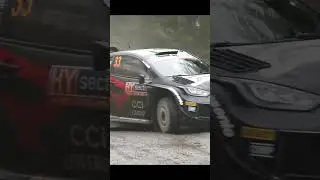 Rally Finland 2024!  #rallycar #rally #wrc #automobile