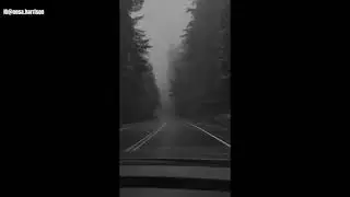 Black and white aesthetic video 59