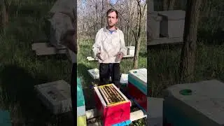 Egalizare familiilor