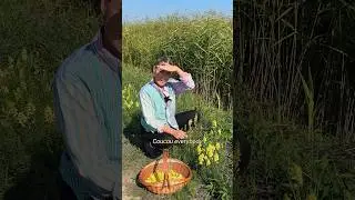 Treatment for piles - Yellow Toadflax #herbs #herbaltea