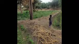 #aliosmanafar #Awra #Afar #visit #visitafar #visit #Ethiopia #fb #fbreels #reel #reels #youtube