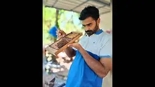 #small bee house making kerala