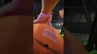 *CLOSE UP* 524 Points w/ 5 Balls 🏀 Street Basketball Arcade @ Timezone Plaza Surabaya (03.05.23)