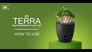 EO Terra | How to Use Terra - Self Watering Plant Pot