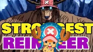 How Strong is Chopper - One Piece Anime Manga