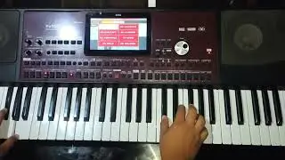 ✅YAMAHA PSR310 - SAMPLES PROFESIONALES AEMINPU - KORG PA700, PA1000