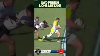 Lions punished as Anrich Scheffer creates SWD try