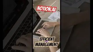 How to Use Notion AI for Efficient Information Management