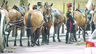 The Colonel's Review for the Trooping the Colour  2019 21
