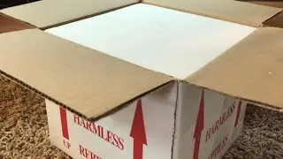 LLL Reptile Un-Boxing and Full Review