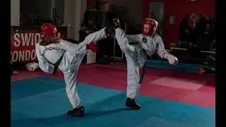 Egzamin 2025 w UKS Taekwon-do Gryf na stopnie uczniowskie