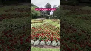 Botanic Gardens, QUT, Brisbane, Queensland, Australia 🇦🇺 | Beautiful Australia | Study Abroad