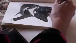Heidi Drawing Cat. ARTIST...