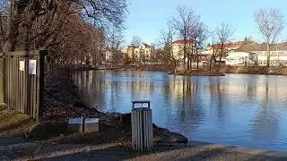 Park. Ducks. Парк и утки. Клатовы.